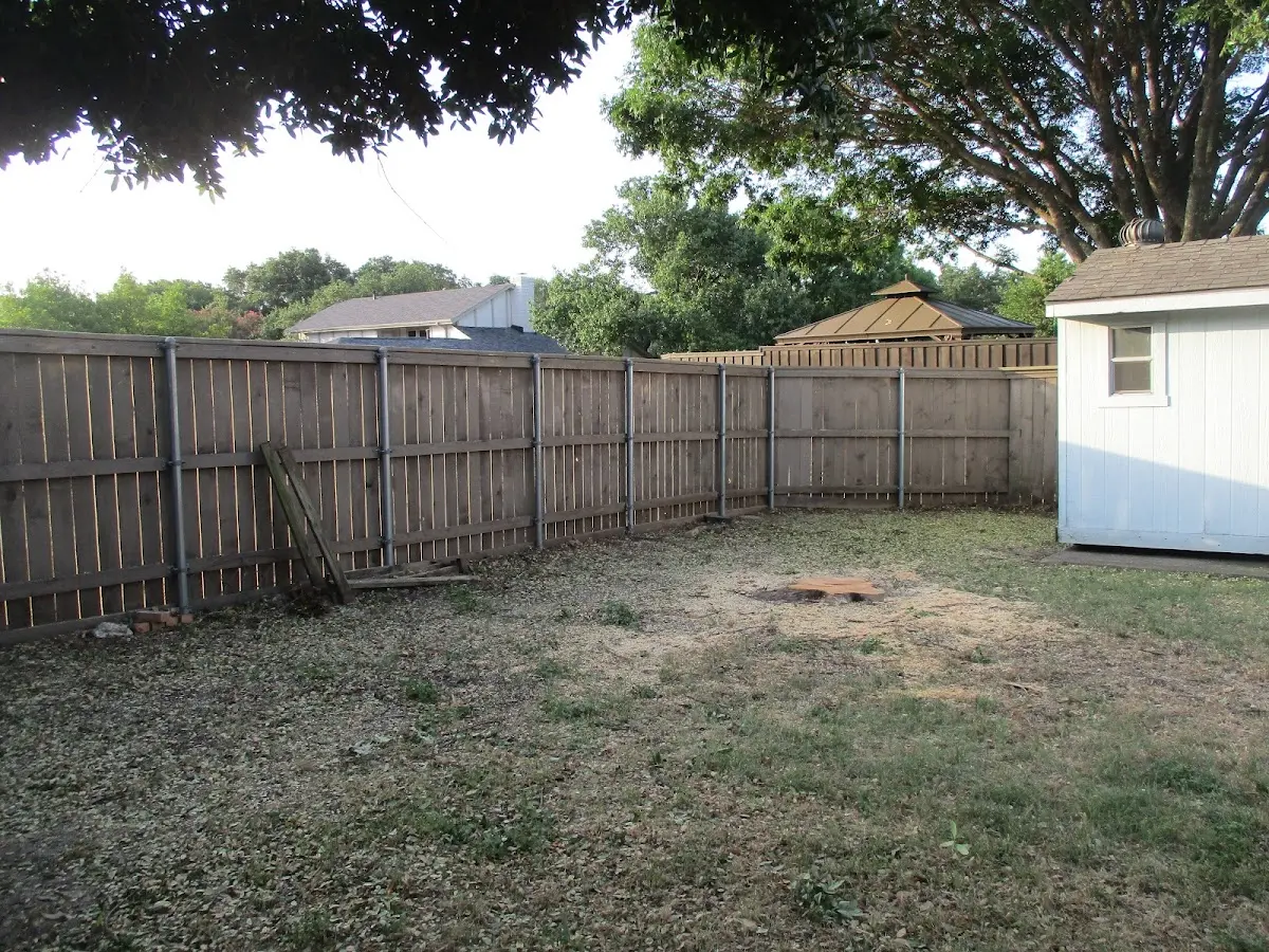 Cleared yard after professional tree removal in Williamsport